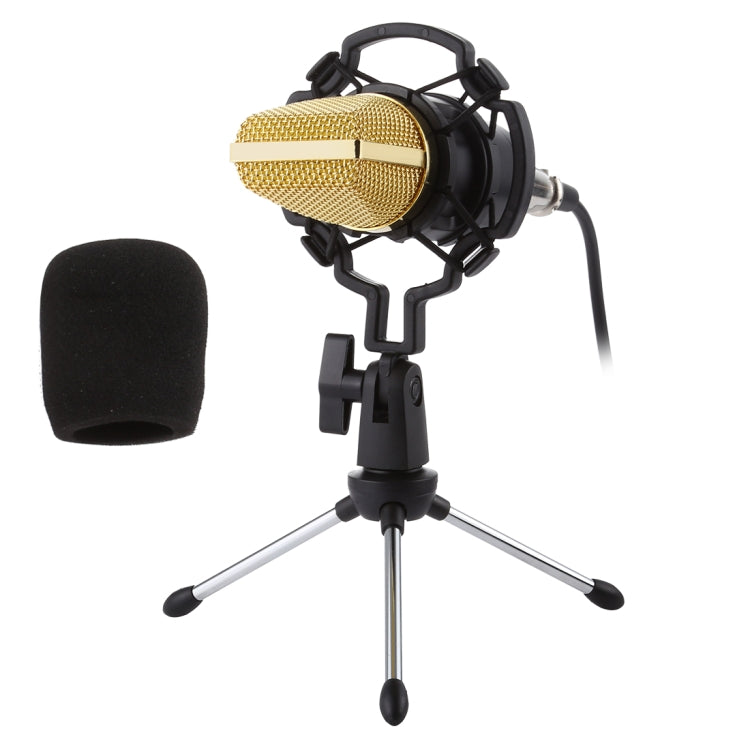 BM-700 USB Professional Condenser Microphone HoMEdemic™