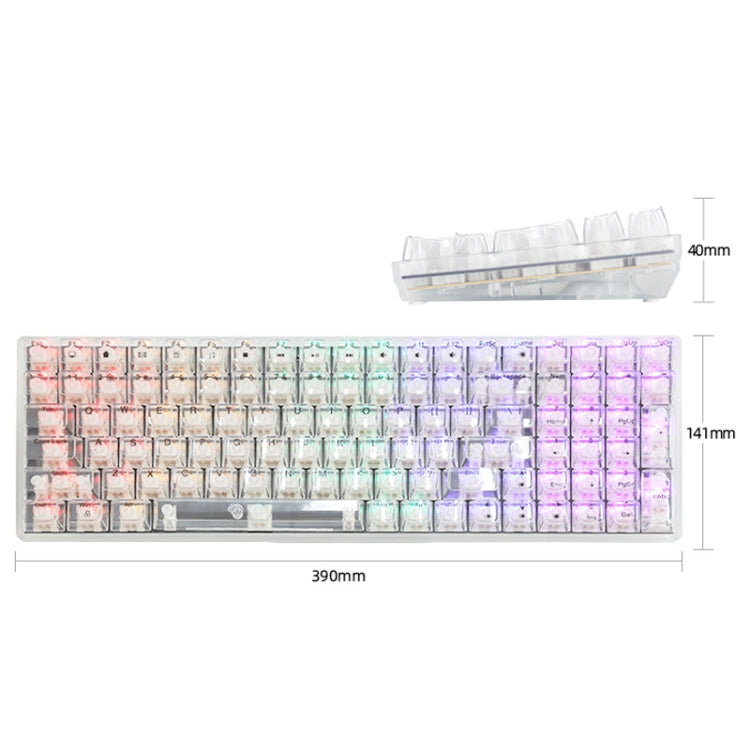 100 Keys Customized Gaming Wired Mechanical Keyboard Transparent Keycap Green Shaft (Black) - HoMEdemic™ 