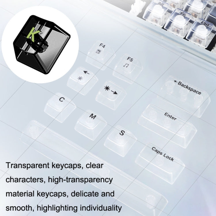 100 Keys Customized Gaming Wired Mechanical Keyboard Transparent Keycap Green Shaft (Black) - HoMEdemic™ 