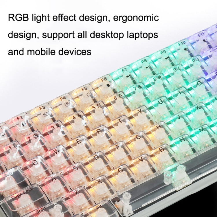 100 Keys Customized Gaming Wired Mechanical Keyboard Transparent Keycap Green Shaft (Black) - HoMEdemic™ 