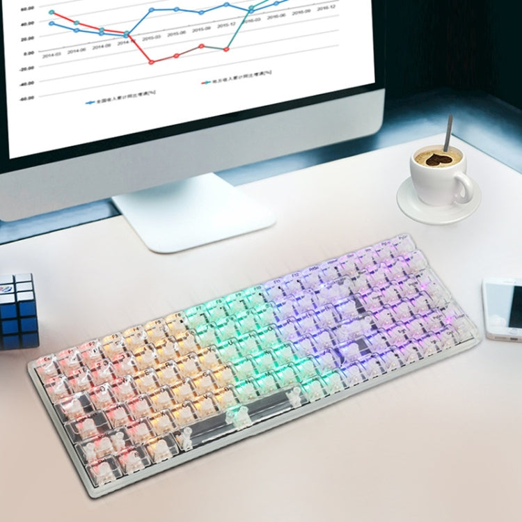 100 Keys Customized Gaming Wired Mechanical Keyboard Transparent Keycap Green Shaft (Black) - HoMEdemic™ 