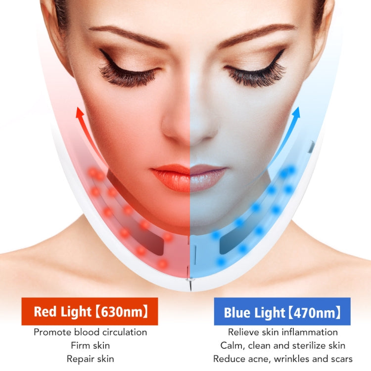 106892 EMS Microcurrent Red and Blue Light Massage Face-Lifting Instrument(White) - HoMEdemic™ 