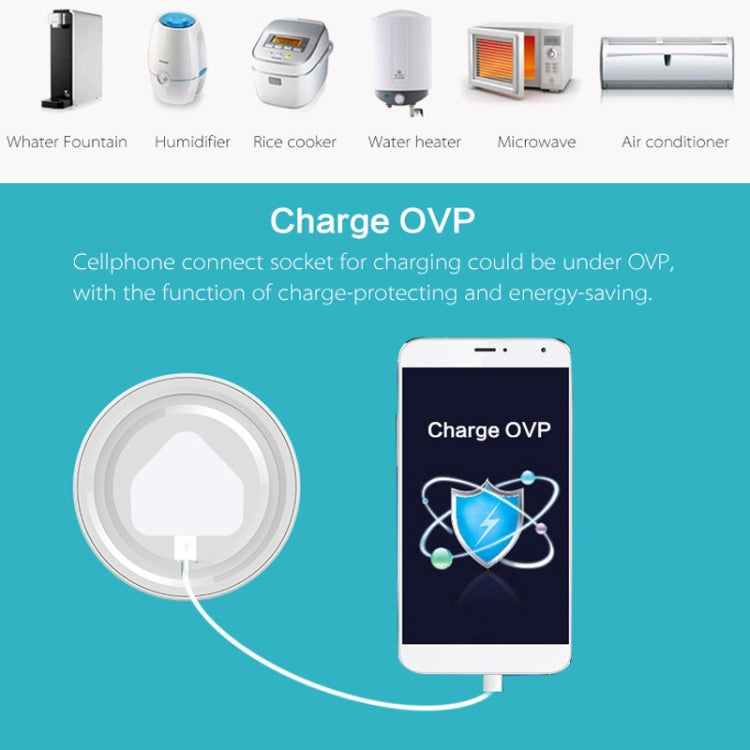 10A Round Shape WiFi Mini Plug APP Remote Control Timing Smart Socket Works with Alexa & Google Home, AC 100-240V, US Plug, 10A US Plug(Round Shape) - HoMEdemic™ 