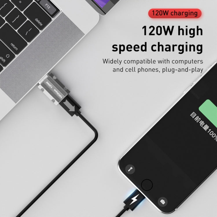 120W Type-C Female to USB 3.0 Male Zinc Alloy Straight Adapter(Silver) - HoMEdemic™ 