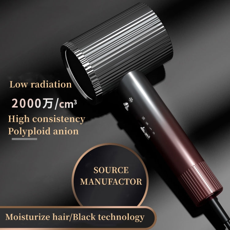 1600W Negative Ion Hair Dryer With  3 Speed Adjustment,CN Plug Standard Edition(Purple) - HoMEdemic™ 