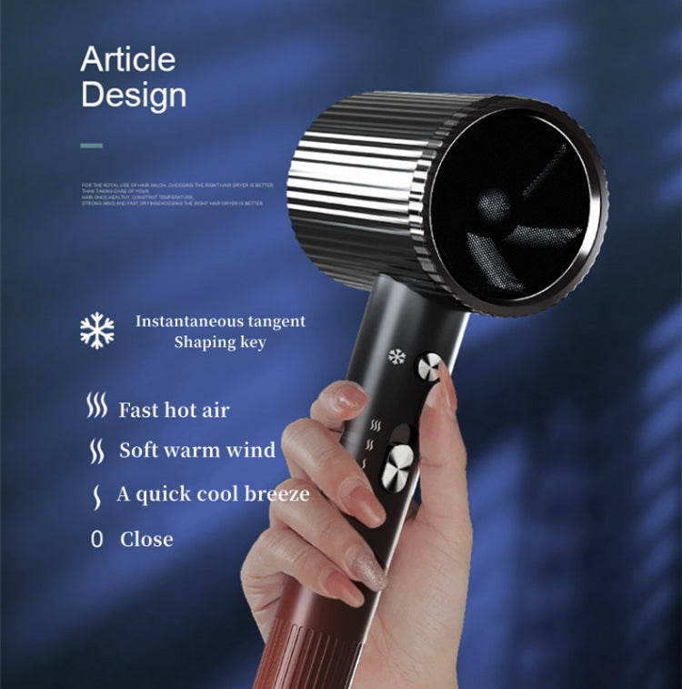 1600W Negative Ion Hair Dryer With  3 Speed Adjustment,CN Plug Standard Edition(Purple) - HoMEdemic™ 