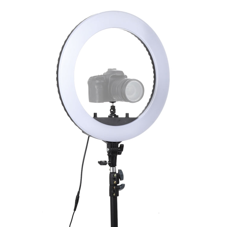 18 inch 55W Two-speed Dimmable Anchor Photography Self-timer LED Ring Fill-in Light with Tripod, 18 Inch - HoMEdemic™ 