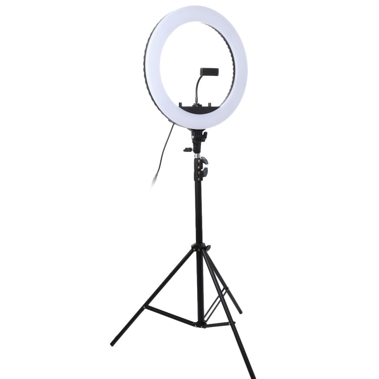 18 inch 55W Two-speed Dimmable Anchor Photography Self-timer LED Ring Fill-in Light with Tripod, 18 Inch - HoMEdemic™ 