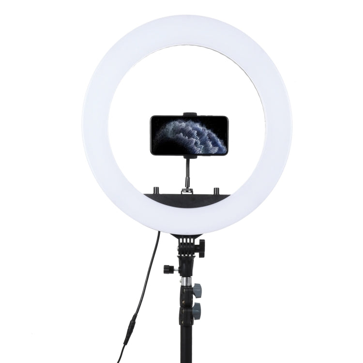 18 inch 55W Two-speed Dimmable Anchor Photography Self-timer LED Ring Fill-in Light with Tripod, 18 Inch - HoMEdemic™ 