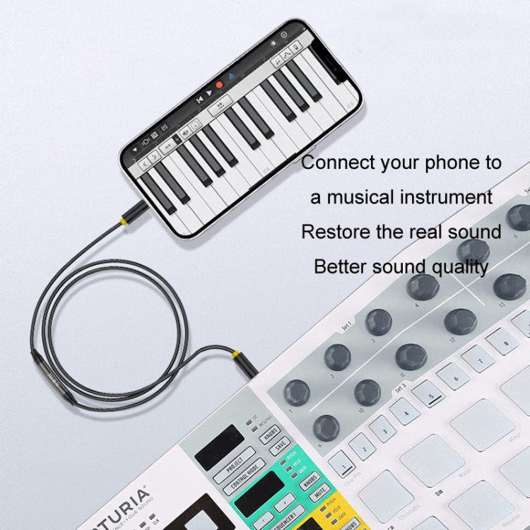 1m JINGHUA 3.5mm Cable Audio Conversion Microphone Two-way Transcriber - HoMEdemic™ 