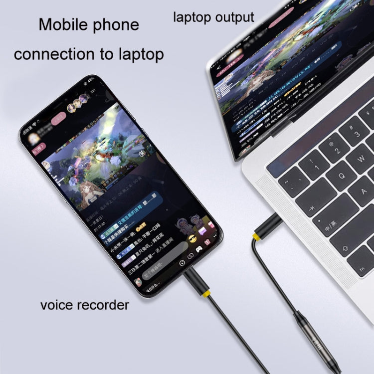 1m JINGHUA 3.5mm Cable Audio Conversion Microphone Two-way Transcriber - HoMEdemic™ 