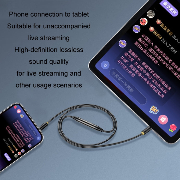 1m JINGHUA 3.5mm Cable Audio Conversion Microphone Two-way Transcriber - HoMEdemic™ 