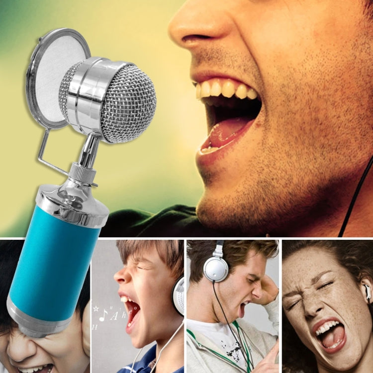 3000 Home KTV Mic Condenser Sound Recording Microphone with Shock Mount & Pop Filter for PC & Laptop, 3.5mm Earphone Port, Cable Length: 2.5m - HoMEdemic™ 