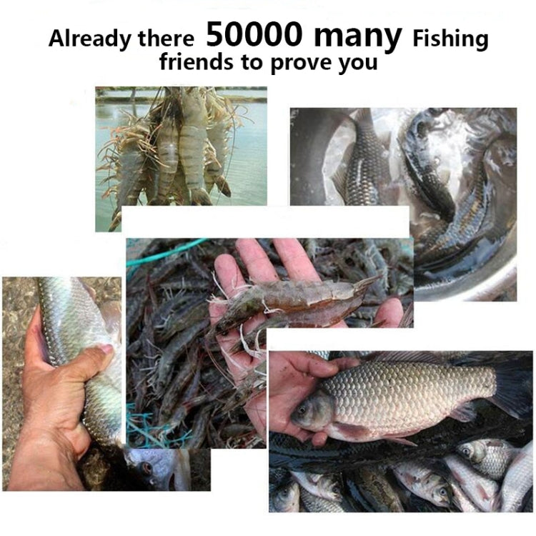 4 Holes Automatic Foldable Fishing Net Nylon Shrimp Crab Minnow Trap Fish Cast Net Fishing Tackle, 4 Holes - HoMEdemic™ 