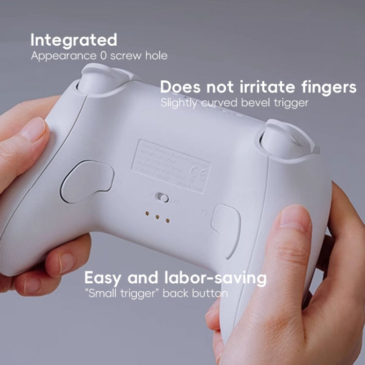 8BitDo Orion NS Version True Wireless Bluetooth Gamepad with Charging Stand(Black) - HoMEdemic™ 