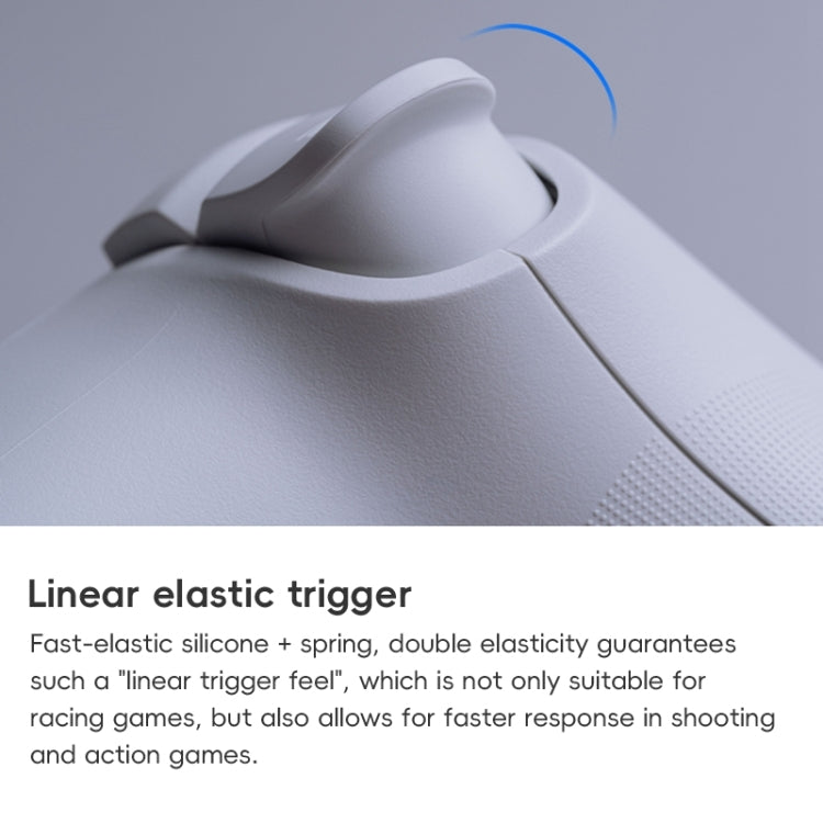 8BitDo Orion NS Version True Wireless Bluetooth Gamepad with Charging Stand(Black) - HoMEdemic™ 