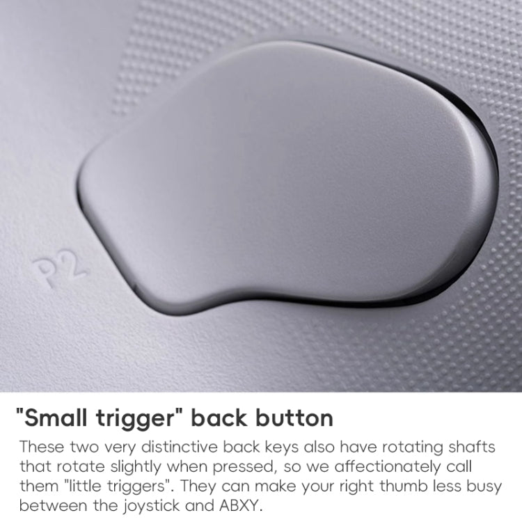 8BitDo Orion NS Version True Wireless Bluetooth Gamepad with Charging Stand(Black) - HoMEdemic™ 