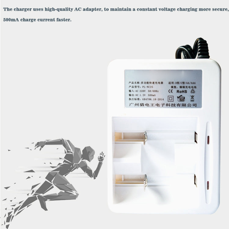 AC 220V 2 Slot Battery Charger for AA & AAA & C / D Size Battery, CN Plug - HoMEdemic™ 