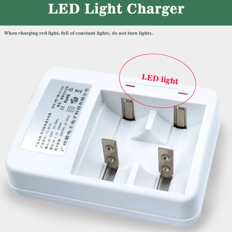 AC 220V 2 Slot Battery Charger for AA & AAA & C / D Size Battery, CN Plug - HoMEdemic™ 