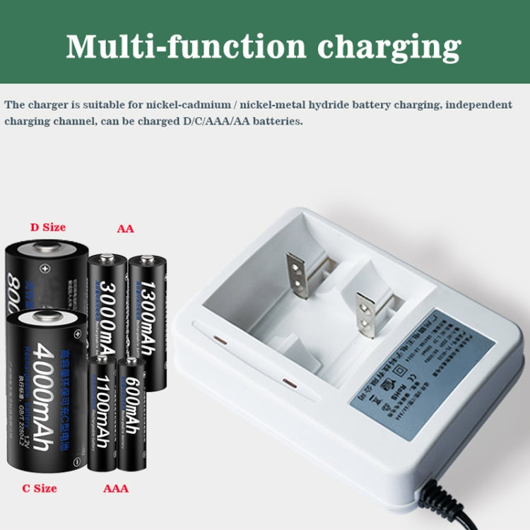AC 220V 2 Slot Battery Charger for AA & AAA & C / D Size Battery, CN Plug - HoMEdemic™ 