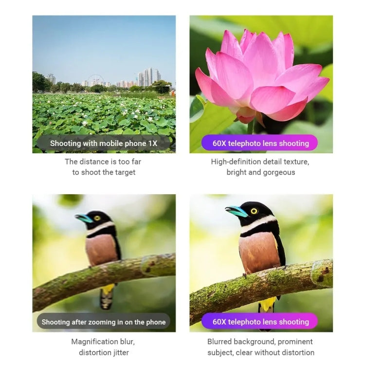 APEXEL 60X Smartphone Telescope Lens With Extendable Tripod Set - HoMEdemic™ 