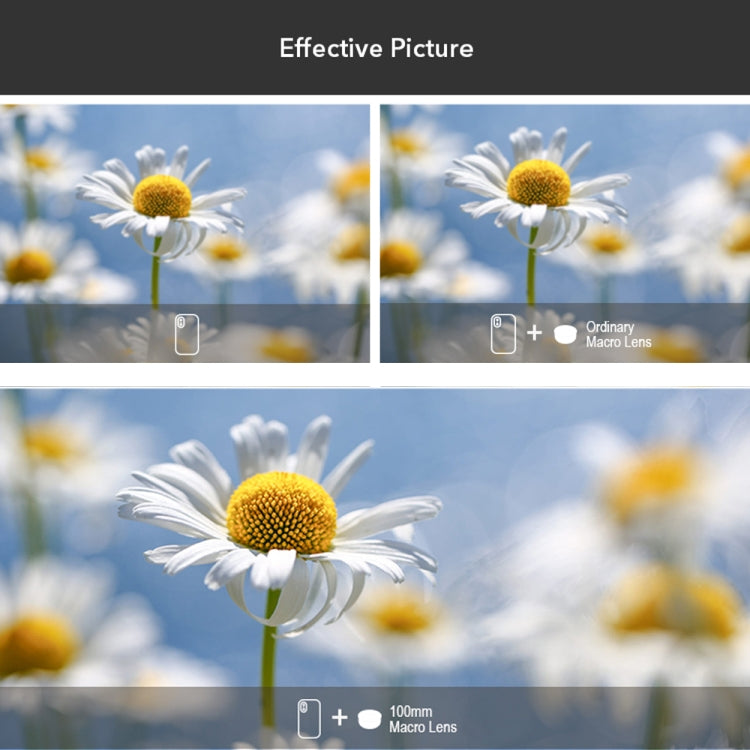 APEXEL APL-HB100MM HD Insect Jewelry 100 Micro External Mobile Phone Lens(Telephoto Clip) - HoMEdemic™ 