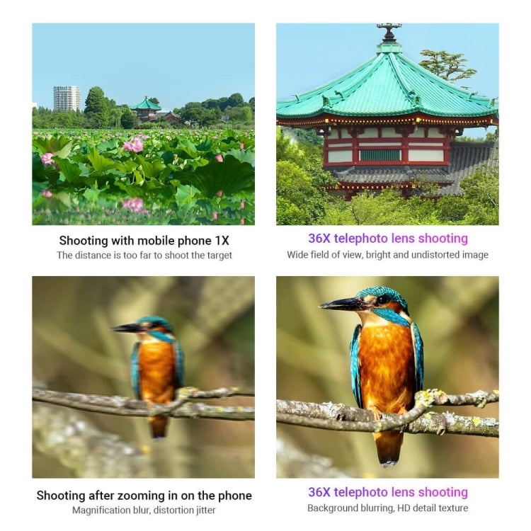 APEXEL HD Metal 36X Zoom Telescope Telephoto Lens With Extendable Tripod - HoMEdemic™ 