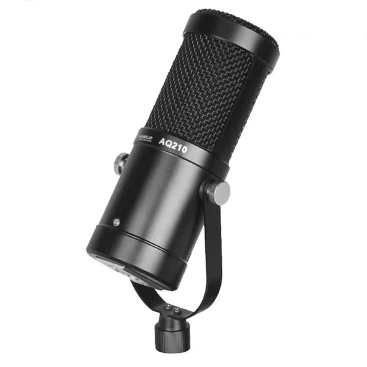 AQ-210 K Song Live Recording Capacitor Microphone - HoMEdemic™ 