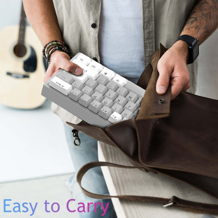 AULA F3261 Type-C Wired Hot Swappable 61 Keys RGB Mechanical Keyboard(Black Grey Tea Shaft) - HoMEdemic™ 