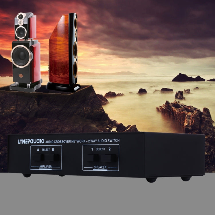 B822 Passive Speaker Switch 2 Channel Power Amplifier Audio Switch Loudspeaker,  2 Input and 2 Output - HoMEdemic™ 
