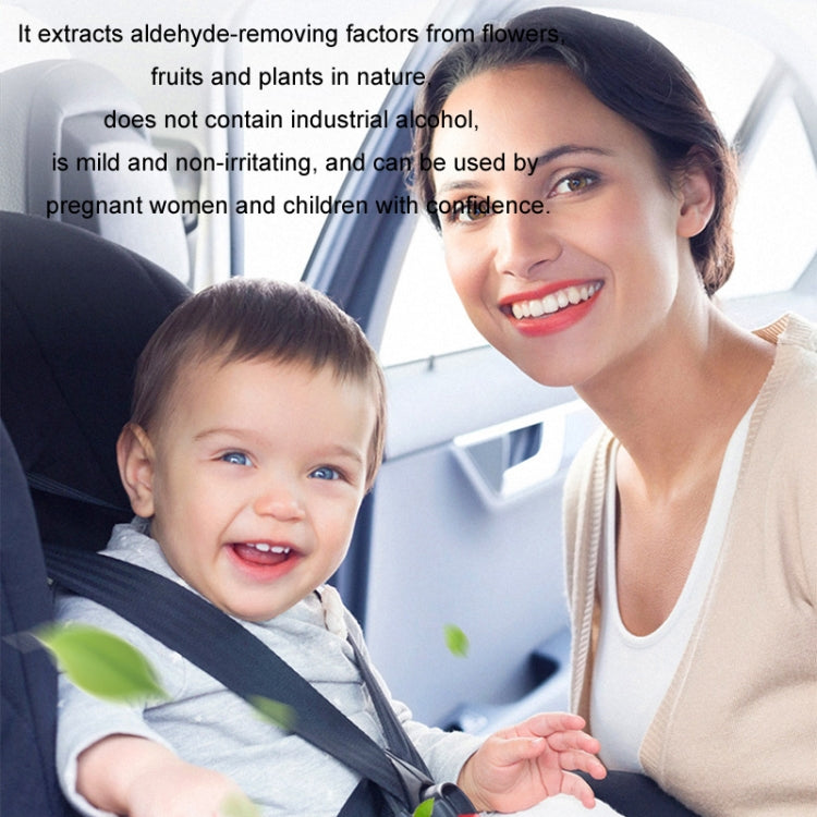 BEN.JACK Clock Car Long-lasting Light Fragrance Tablet Pendant(Blackberry Bay) - HoMEdemic™ 