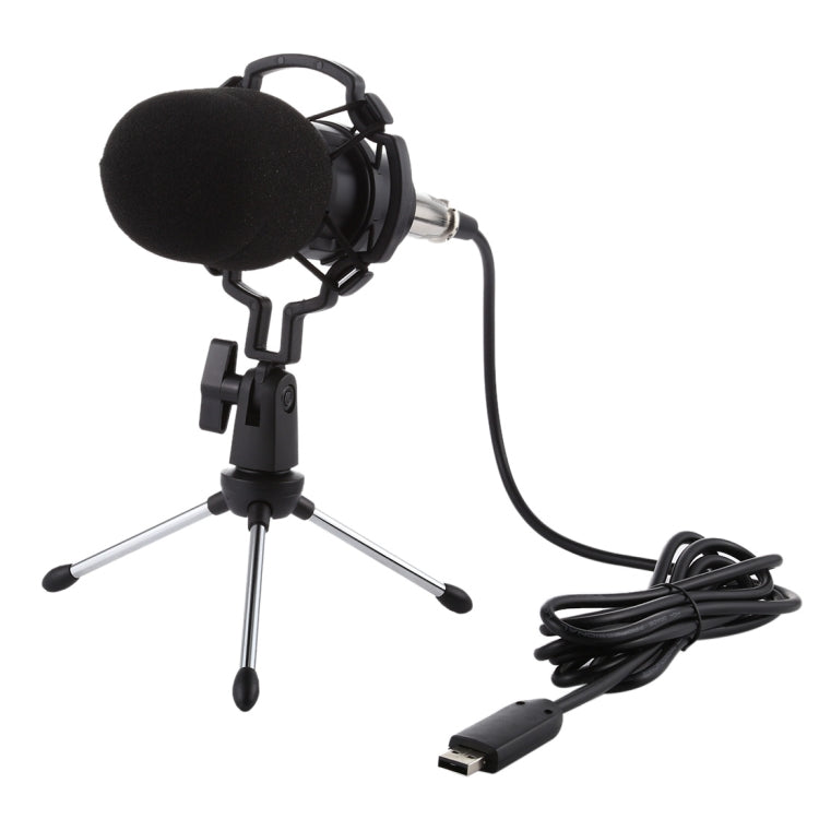 BM-700 USB Professional Condenser Microphone - HoMEdemic™ 