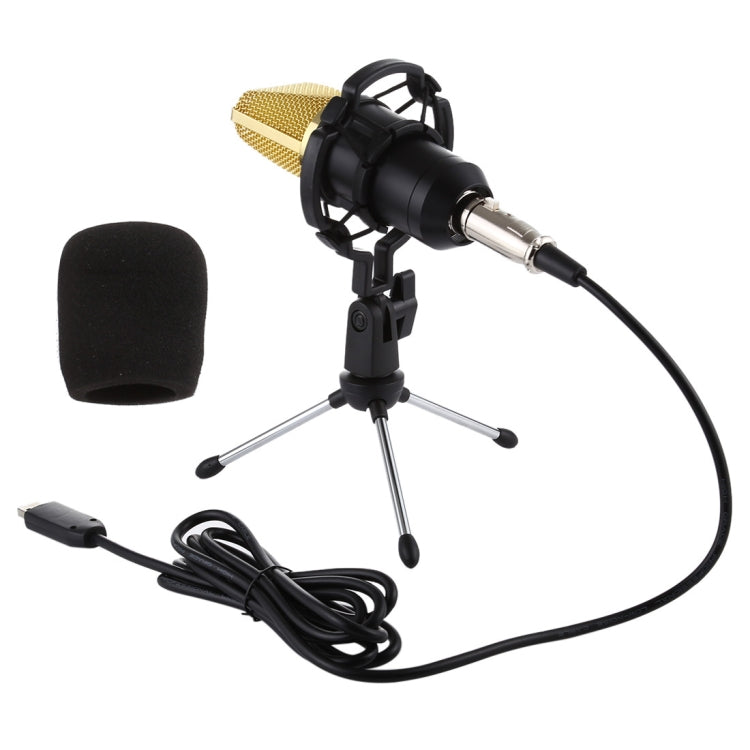 BM-700 USB Professional Condenser Microphone - HoMEdemic™ 