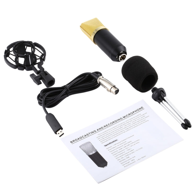 BM-700 USB Professional Condenser Microphone - HoMEdemic™ 