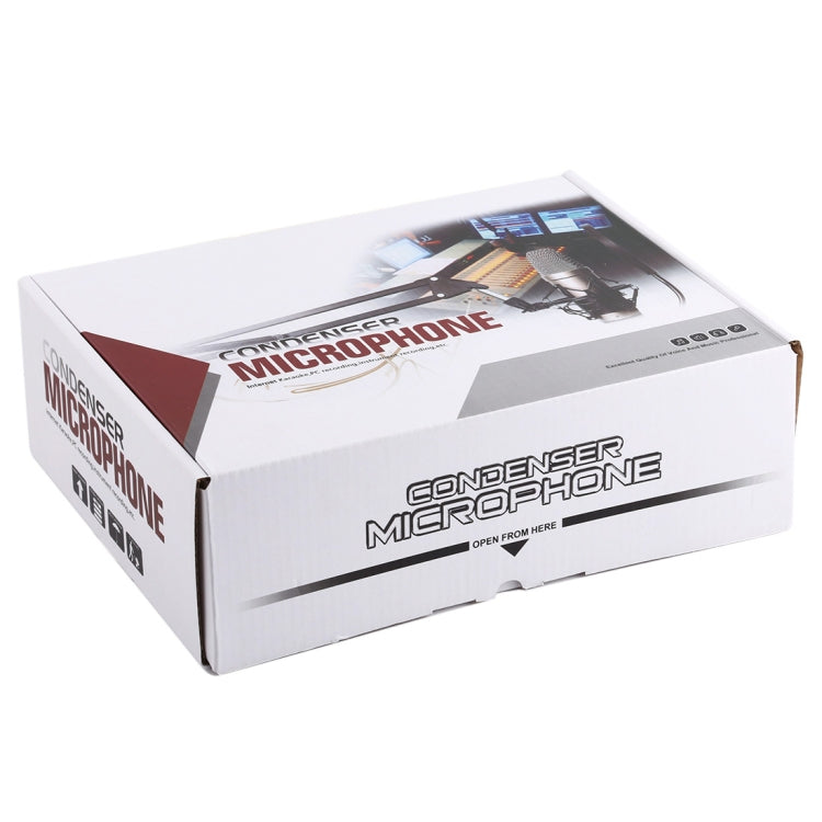 BM-700 USB Professional Condenser Microphone - HoMEdemic™ 