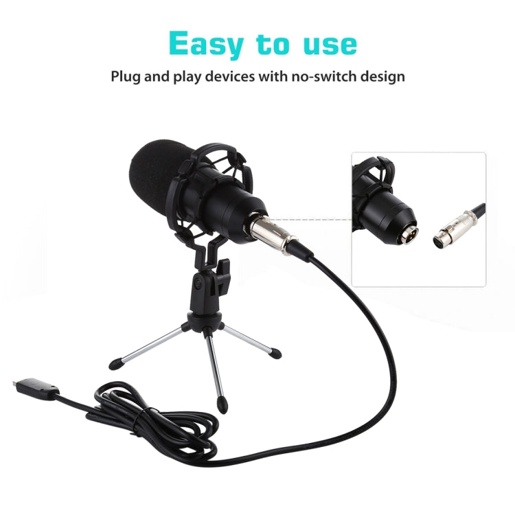 BM-700 USB Professional Condenser Microphone - HoMEdemic™ 