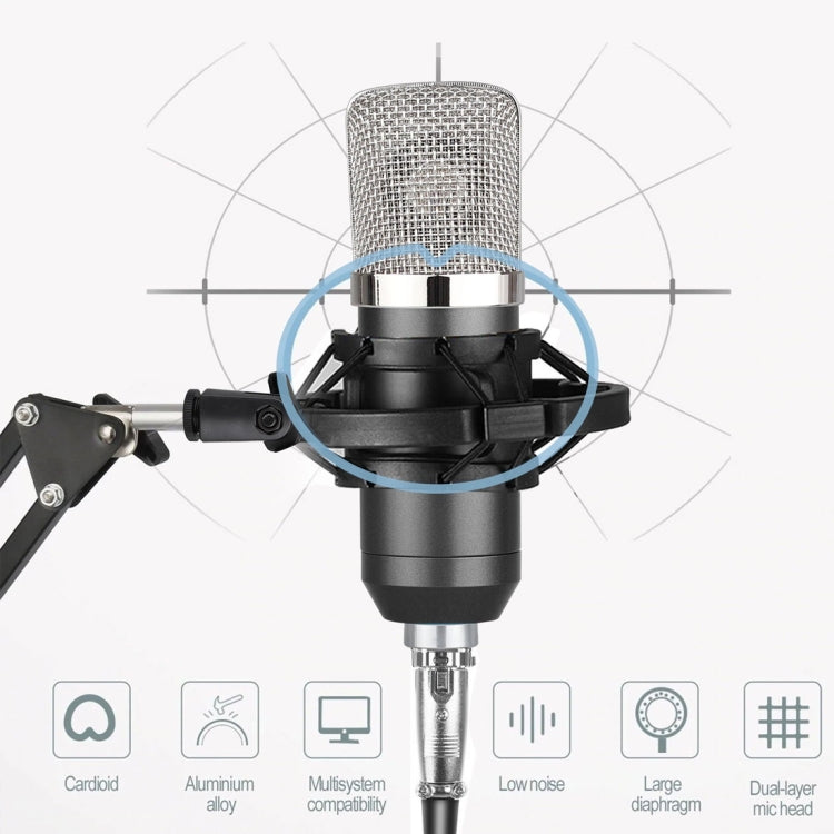 BM-700 USB Professional Condenser Microphone - HoMEdemic™ 