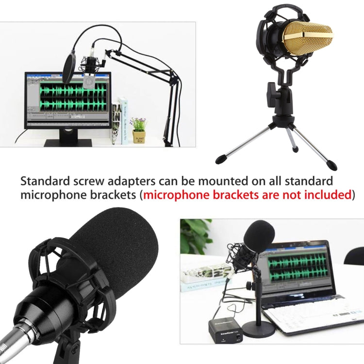 BM-700 USB Professional Condenser Microphone - HoMEdemic™ 