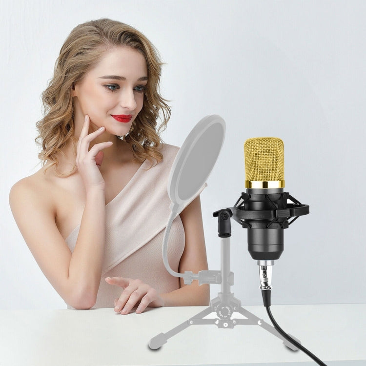 BM-700 USB Professional Condenser Microphone - HoMEdemic™ 