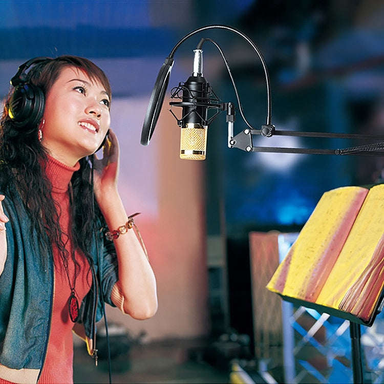 BM-800 Network K-Song Dedicated High-end Metal Shock Mount Microphone Set, BM800 Kit Black, BM800 Kit Pink, BM800 Kit Blue - HoMEdemic™ 