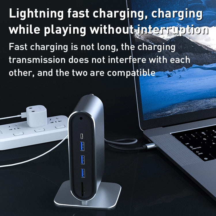 BYL-2201 12 in 1 USB-C / Type-C HUB Adapter - HoMEdemic™ 