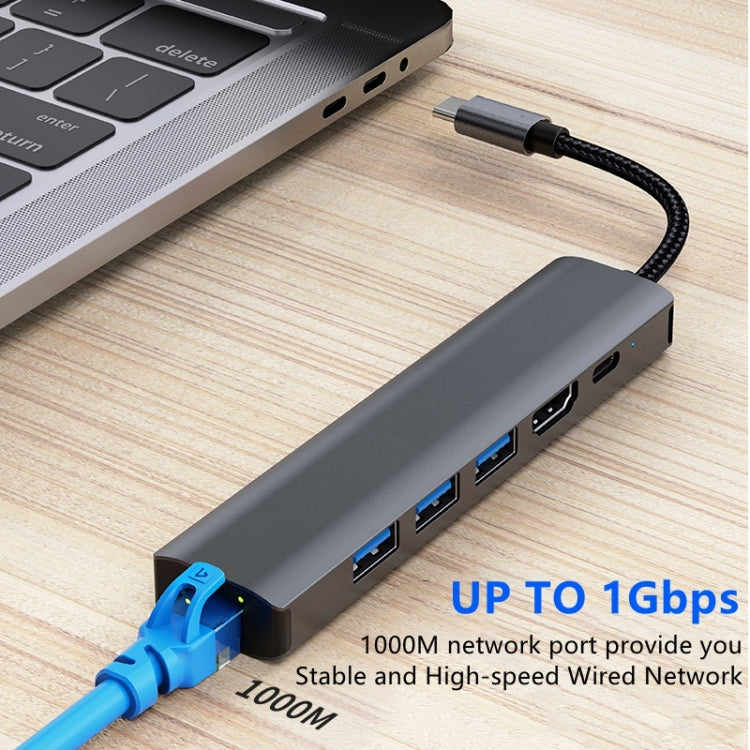 BYL-2210 6 in 1 USB-C / Type-C to USB Multifunctional Docking Station HUB Adapter with 1000M Network Port - HoMEdemic™ 