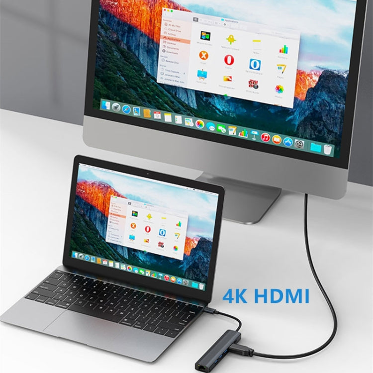 BYL-2210 6 in 1 USB-C / Type-C to USB Multifunctional Docking Station HUB Adapter with 1000M Network Port - HoMEdemic™ 