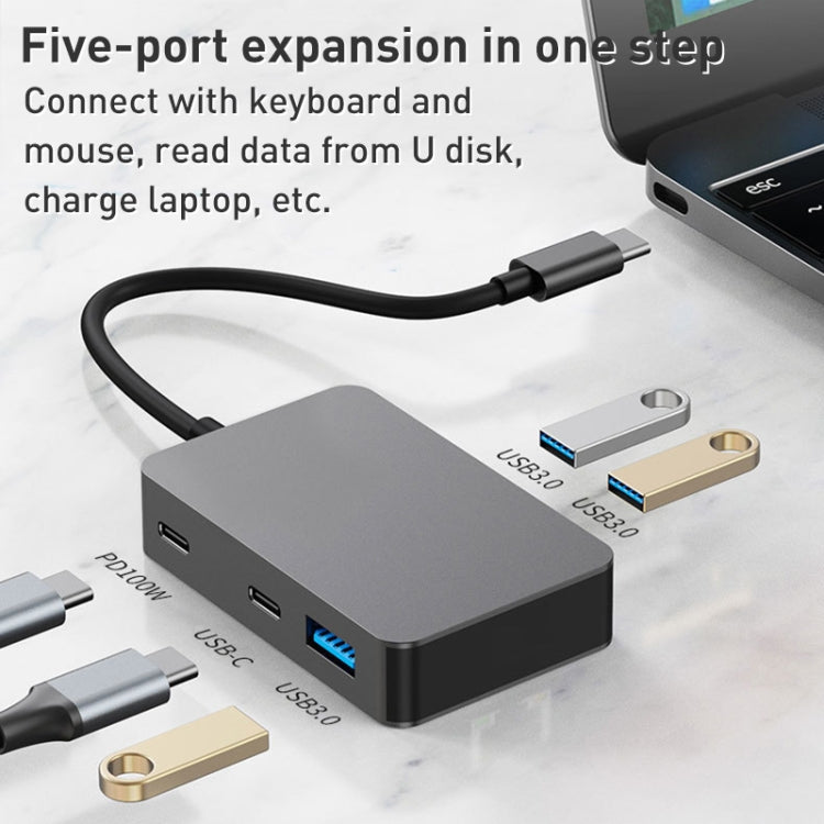 BYL-2316 5 in 1 USB-C / Type-C to USB3.0 & Type-C Multifunctional Docking Station HUB Adapter (Dark Grey) - HoMEdemic™ 