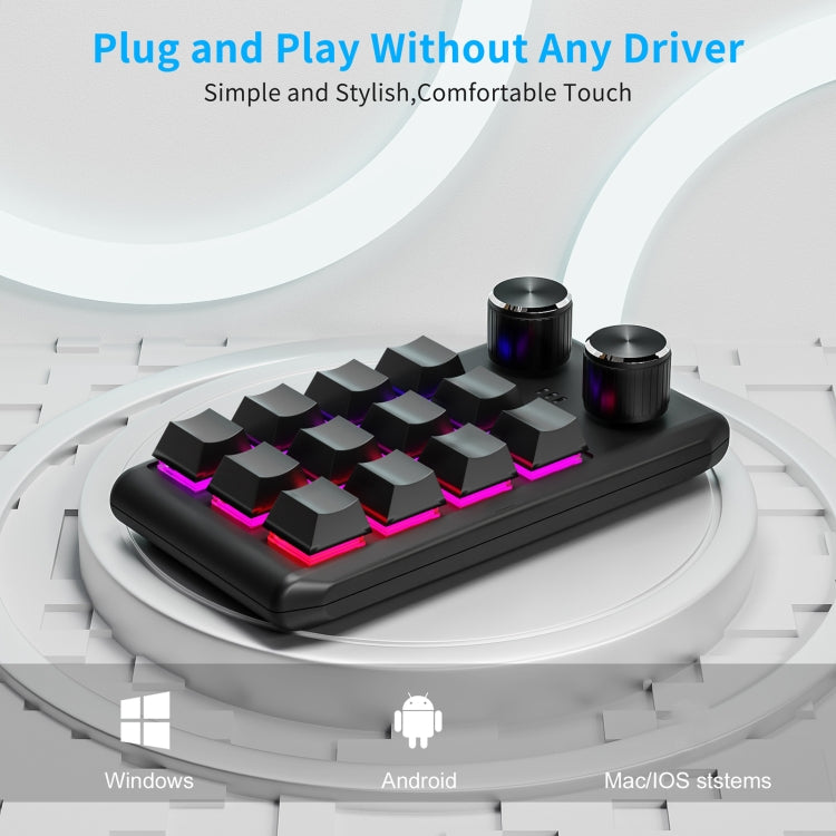 Bluetooth Wireless 12KV2 MOLD Mini Mechanical 12 Keys 2 Knob Custom Programming Keyboard(Black) - HoMEdemic™ 