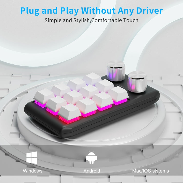 Bluetooth Wireless 12KV2 MOLD Mini Mechanical 12 Keys 2 Knob Custom Programming Keyboard(White) - HoMEdemic™ 