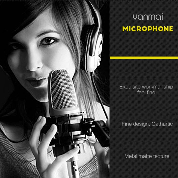 Compatible with PC and Mac for Live Broadcast Show, KTV, etc. - HoMEdemic™ 
