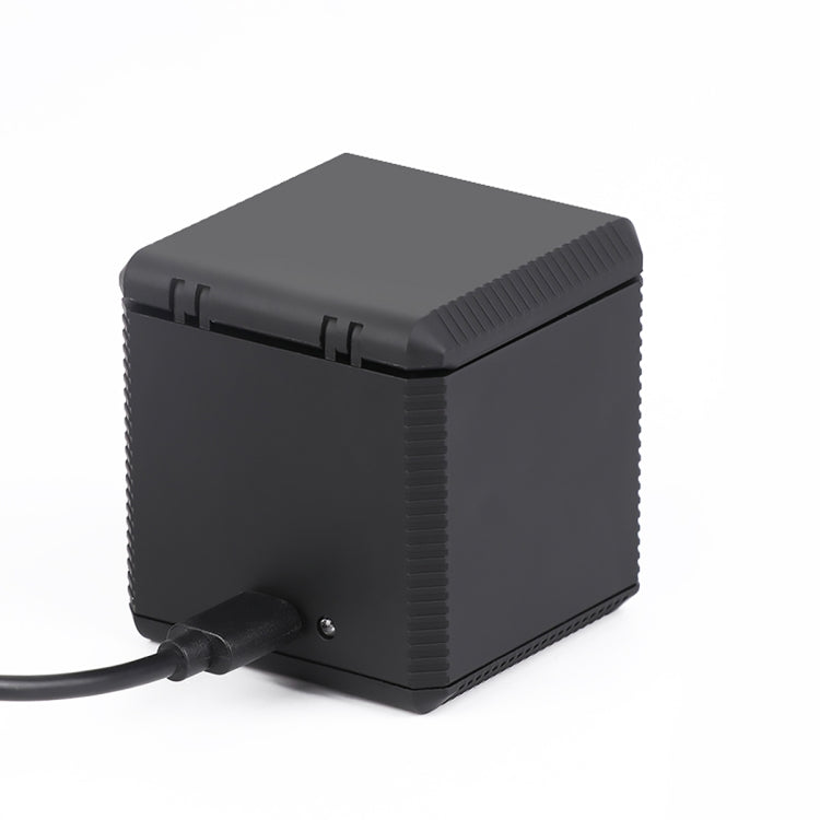 RUIGPRO USB Triple Batteries Housing Charger Box with Cable & Indicator Light for GoPro HERO9 Black / HERO10 Black(Black) - HoMEdemic™ 