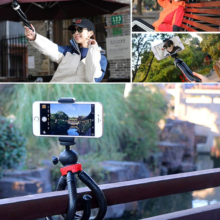 MZ305 Mini Octopus Flexible Tripod Holder with Ball Head for SLR Cameras, GoPro HERO10 Black / HERO9 Black / HERO8 Black /7 /6 /5 /5 Session /4 Session /4 /3+ /3 /2 /1, DJI Osmo Action, Xiaoyi and Other Action Cameras, Cellphone, Size:30cmx5cm - HoMEdemic™ 