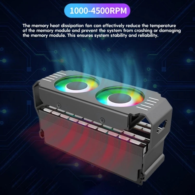 Desktop ARGB Memory Cooler PWM Temperature Control Dual Fan, For DDR / DDR2 / DDR3 / DDR4 / DDR5(Black) - HoMEdemic™ 